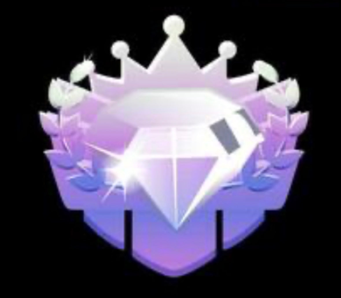 1000 pre-edited videos